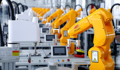 yw1117换哪个域名www59ccccom