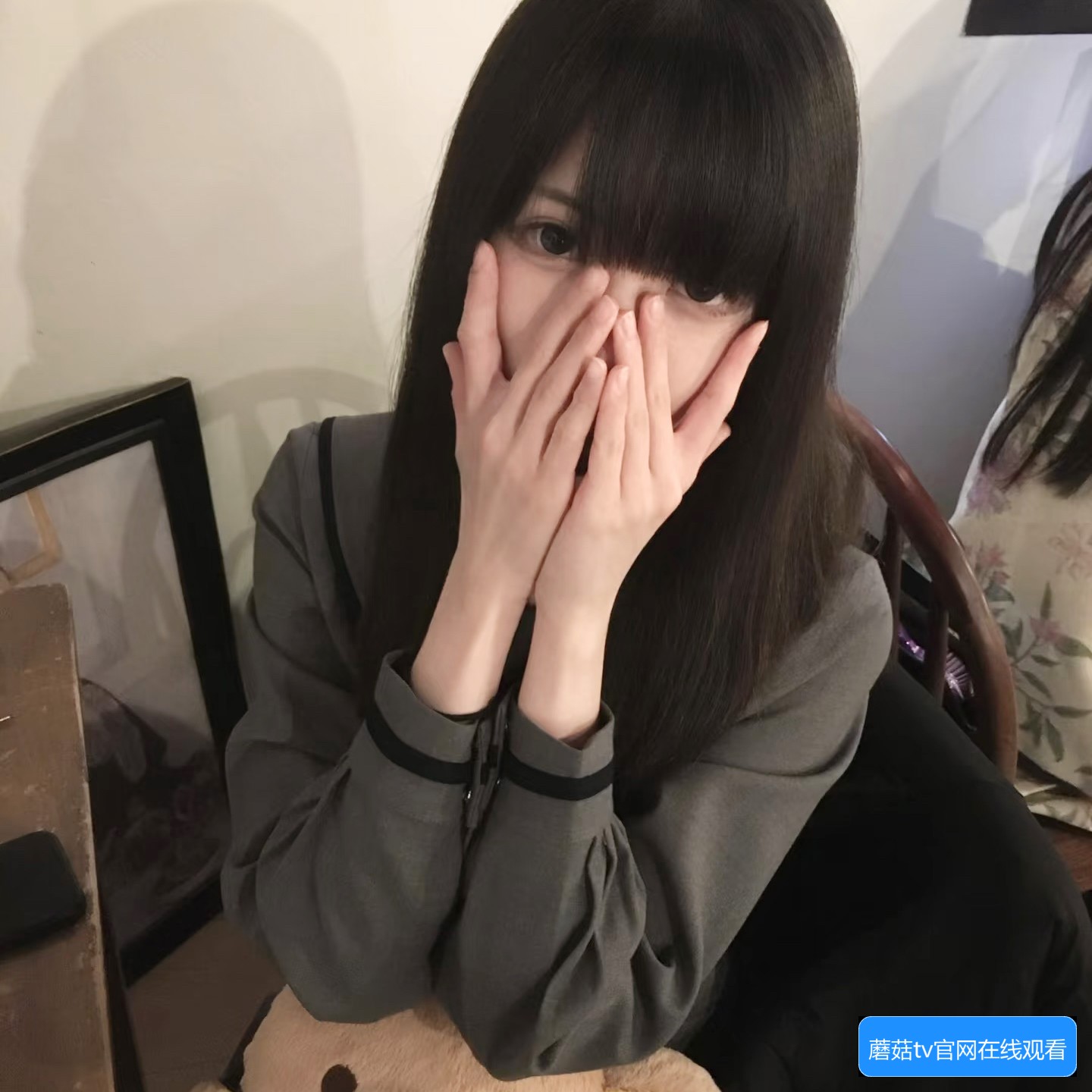 蘑菇TV视频网站有哪些特色功能和使用方法介绍