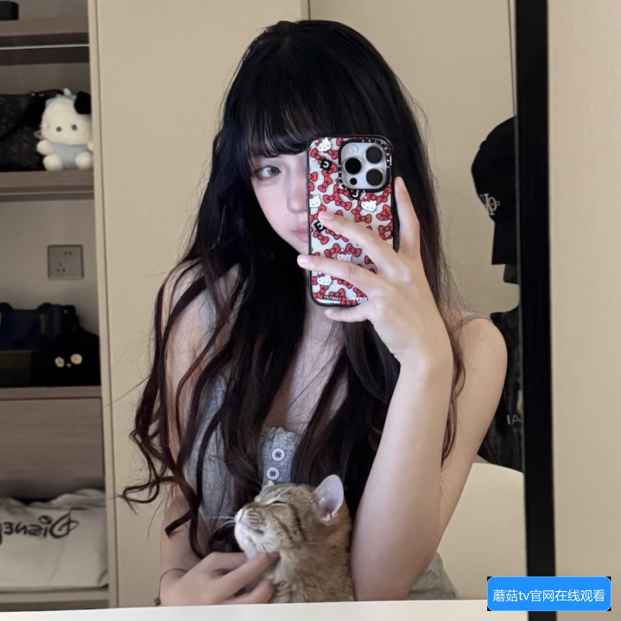 蘑菇tv官网在线观看的常见问题与观看指南解析