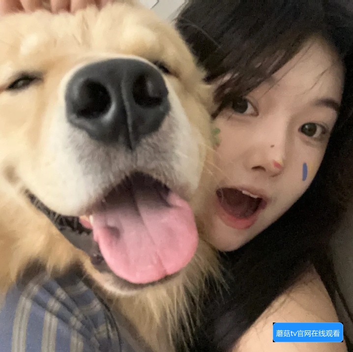 蘑菇TV官网在线观看方式有哪些，如何便捷观看视频内容